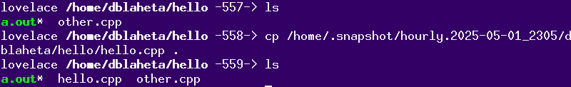 cp /home/.snapshot/hourly.2025-05-01_2305/dblaheta/hello/hello.cpp .